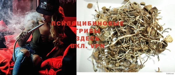 амф Переславль-Залесский