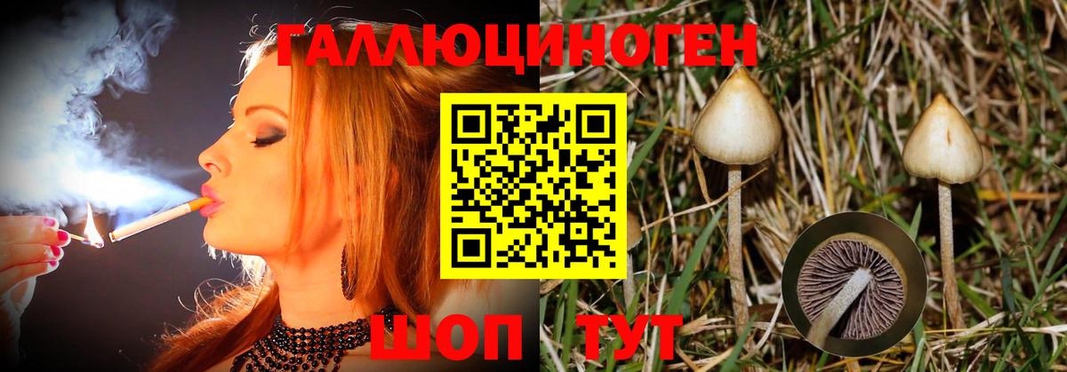 Псилоцибиновые грибы ЛСД  Псилоцибиновые грибы MAGIC MUSHROOMS  Борзя 