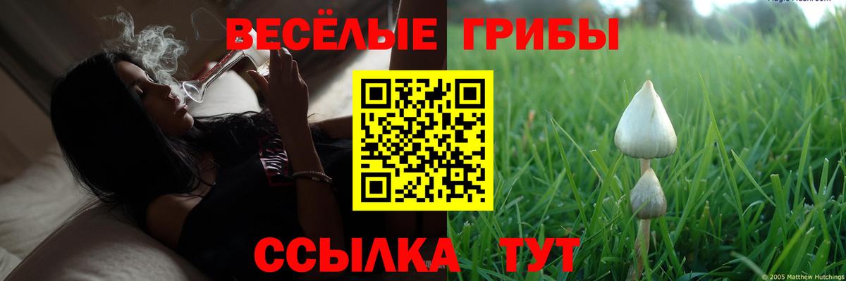 Борзя  Псилоцибиновые грибы Cubensis  Вход с VPN  хочу   Псилоцибиновые грибы Psilocybine cubensis 